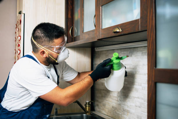 Best Affordable Pest Control Services  in Marlboro Meadows, MD