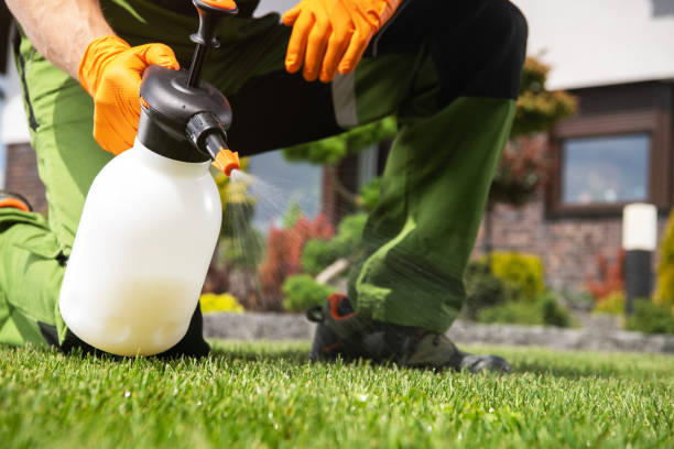 Best Mosquito Control Services  in Marlboro Meadows, MD