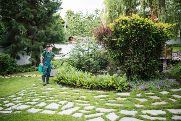 Best Pest Prevention Services  in Marlboro Meadows, MD