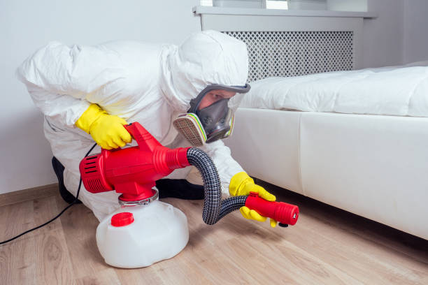 Best Pest Control Near Me  in Marlboro Meadows, MD