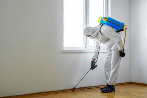 Best Commercial Pest Control Services  in Marlboro Meadows, MD