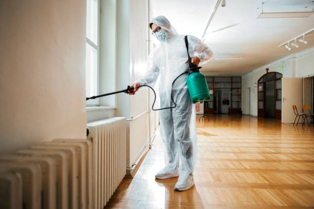 Best Wasp Removal Services  in Marlboro Meadows, MD