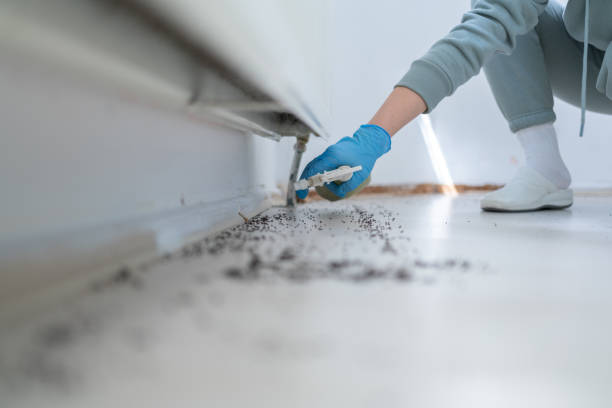 Best Rodent Control Near Me  in Marlboro Meadows, MD