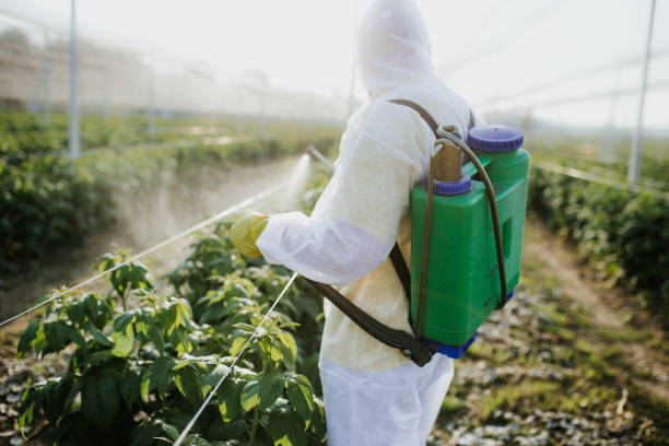 Best Best Pest Control Near Me  in Marlboro Meadows, MD